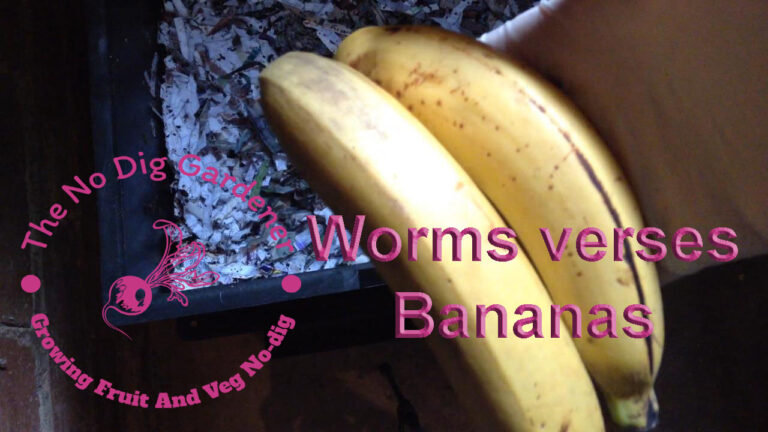 Worms V Bananas