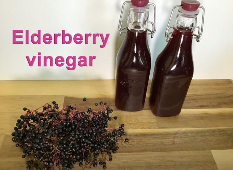 The No Dig Gardener Elderberry Vinegar recipe.